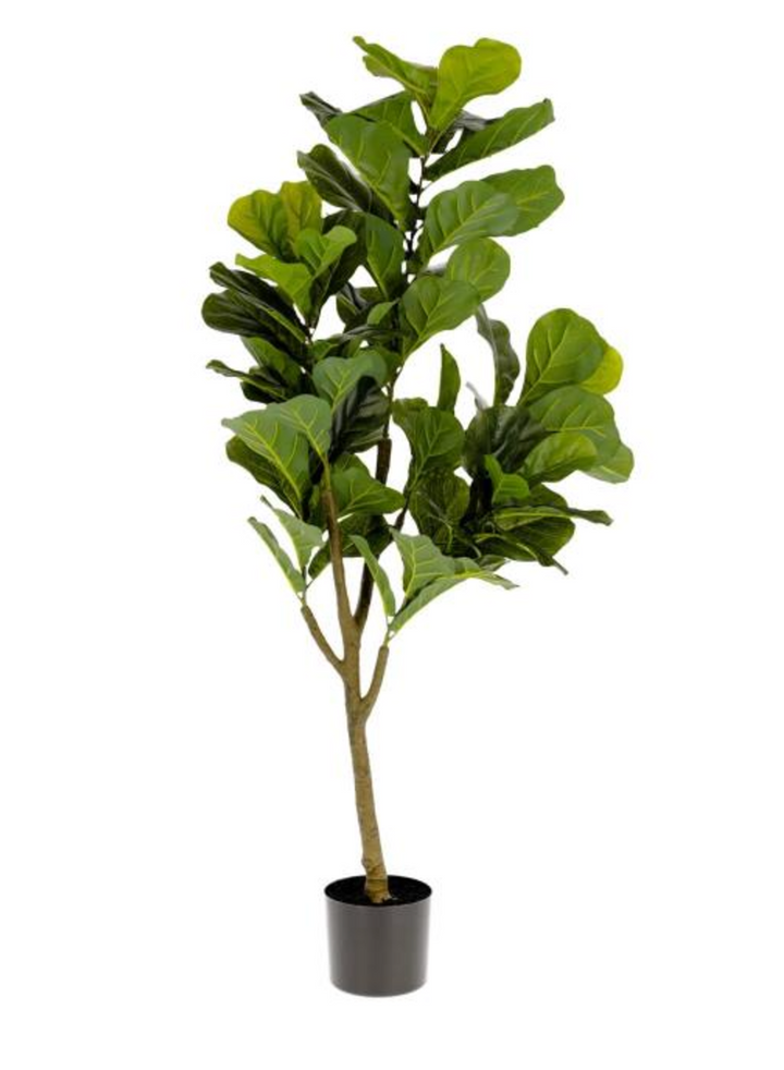 Artificial 150cm Ficus Tree