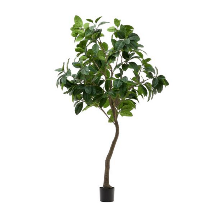 210 cm Artificial Ficus tree