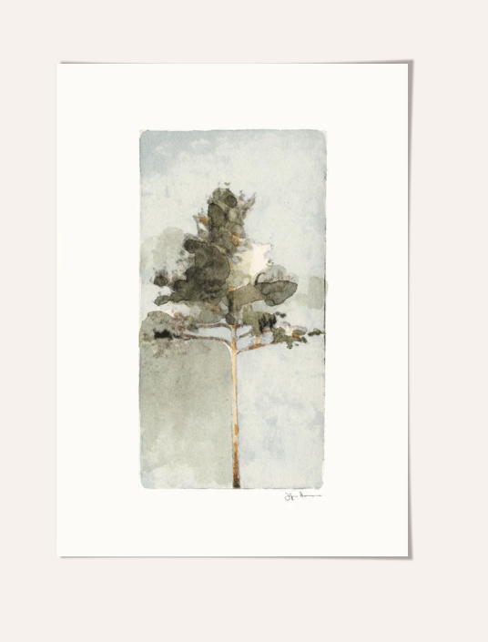 Pine Print 30x40cm