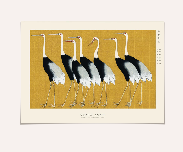 Japanese red crown crane Print 30x40cm